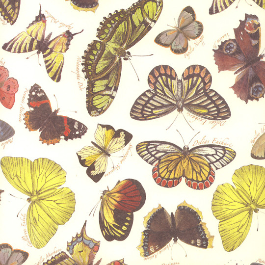 Botanical Butterfly Print Italian Paper ~ Leonardo Communication